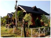 Phunubdao Resort Suanphueng : ٹѺǹ